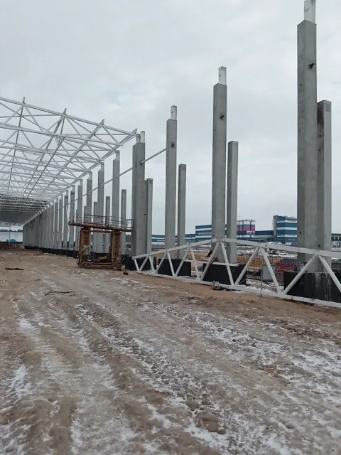 Воронежская область, Масловка — фото 4 из 4